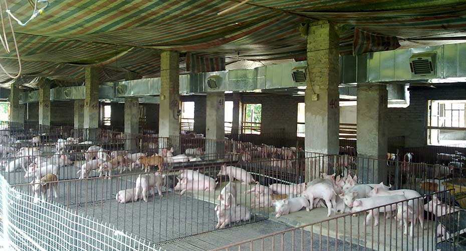 瑞昌環(huán)?？照{(diào)